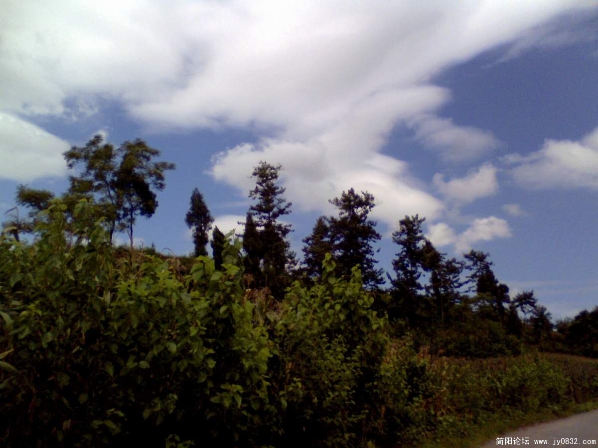 IMG0017A.jpg