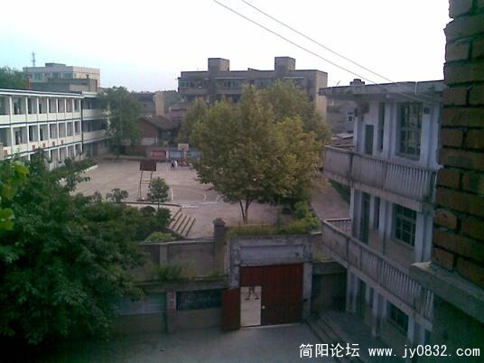 41411.jpg