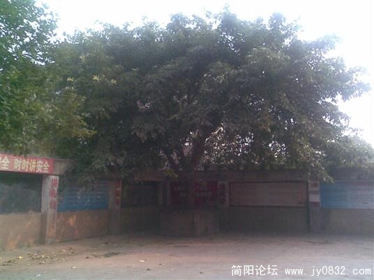 452154.jpg