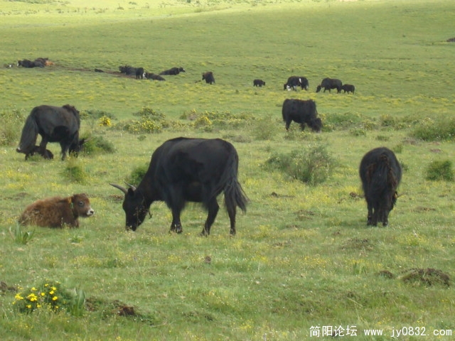 DSC01777.JPG