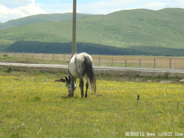 DSC01713.JPG