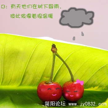 14.jpg