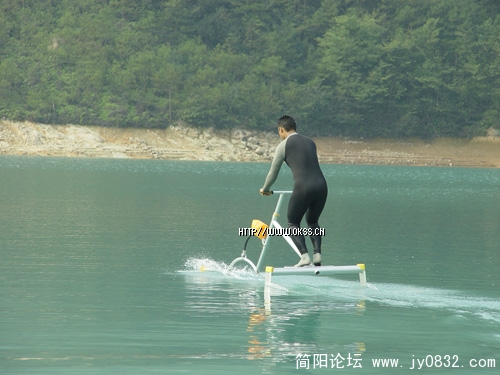水鸟水上飞行器.jpg