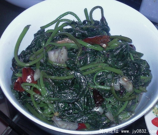 照片390.jpg