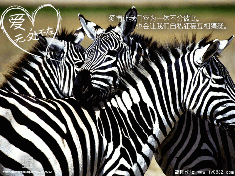 2.gif