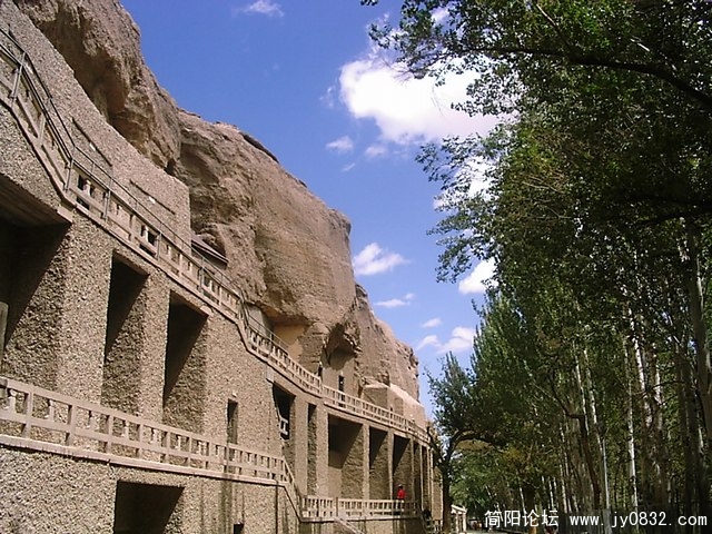 PIC_0210.jpg