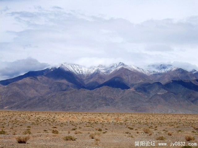 SUC54126.jpg