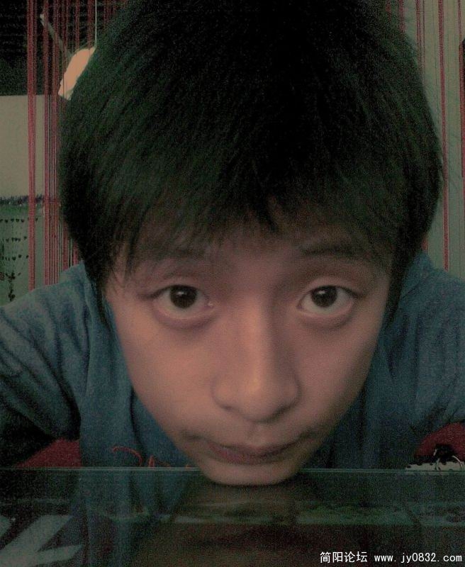 12311.jpg