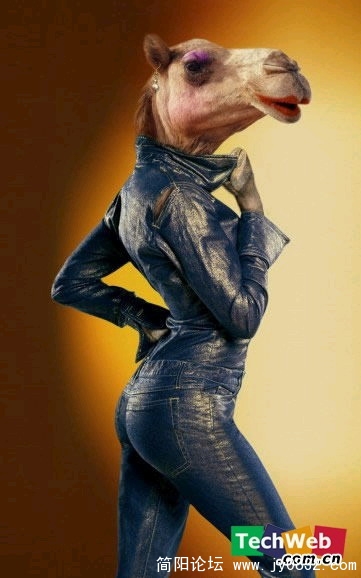 5.JPG