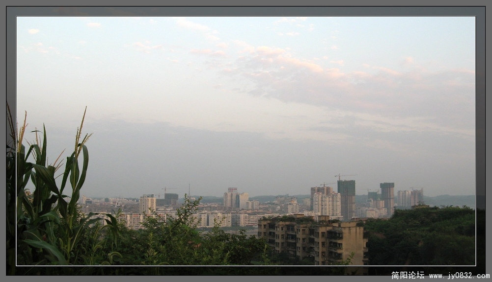 IMG_2580.jpg