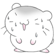 16.gif