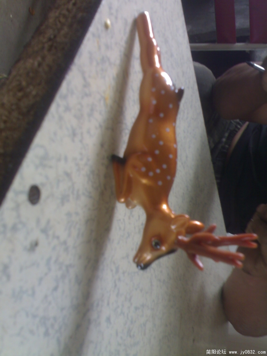 20080826043.jpg