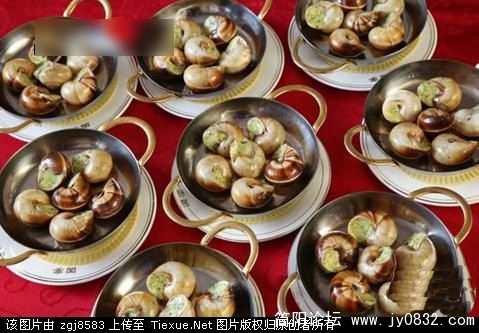 国宴法式锔蜗牛.jpg