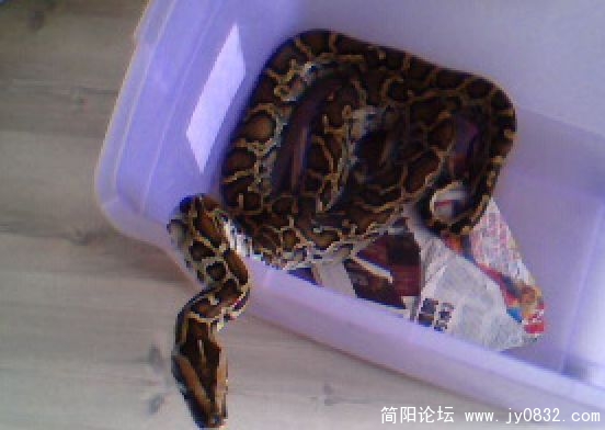 未命名.jpg