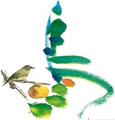鸟.jpg