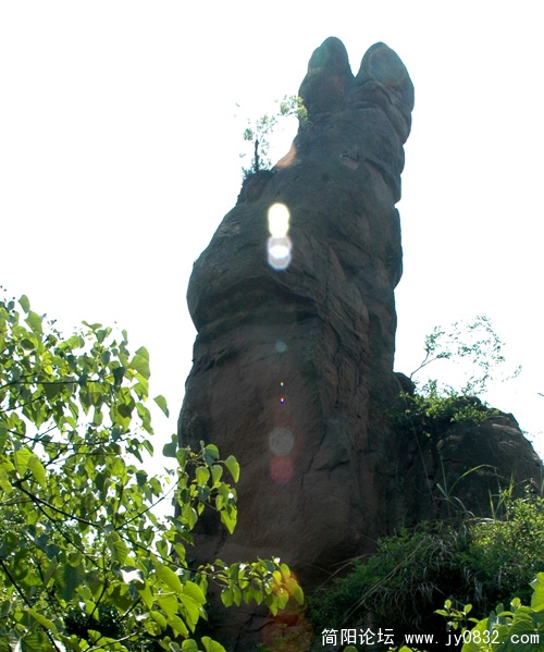 20080306101952_379.jpg