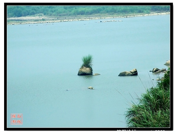 资阳的千岛湖4.jpg