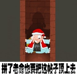 顶顶.jpg