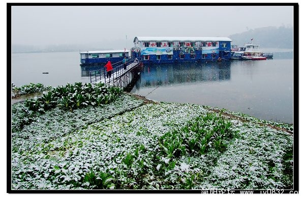 资阳雪景2.jpg