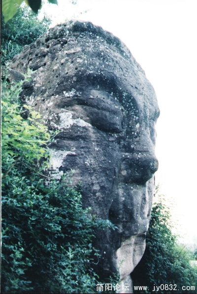 20080306101842_106.jpg