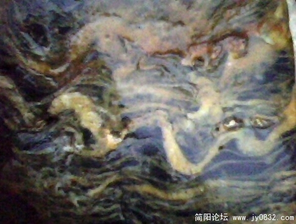 龙、虎斗.jpg