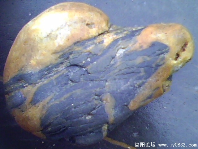 猴子5.jpg