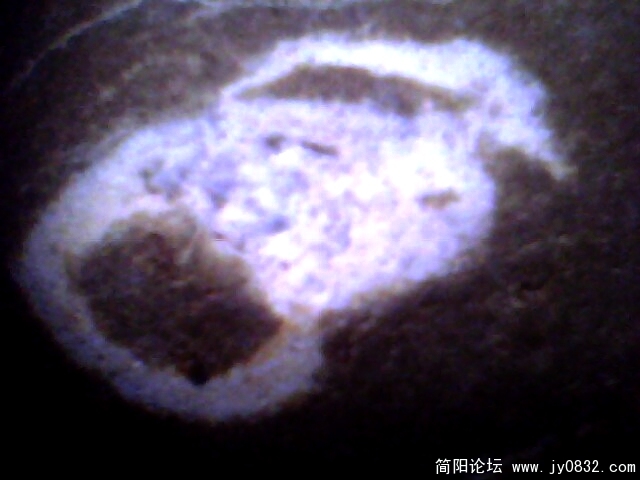 鸟儿2.jpg