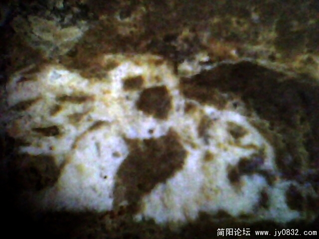 大肚罗汉.jpg