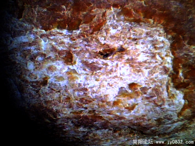 彩池2.jpg