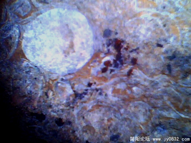 彩池明月.jpg