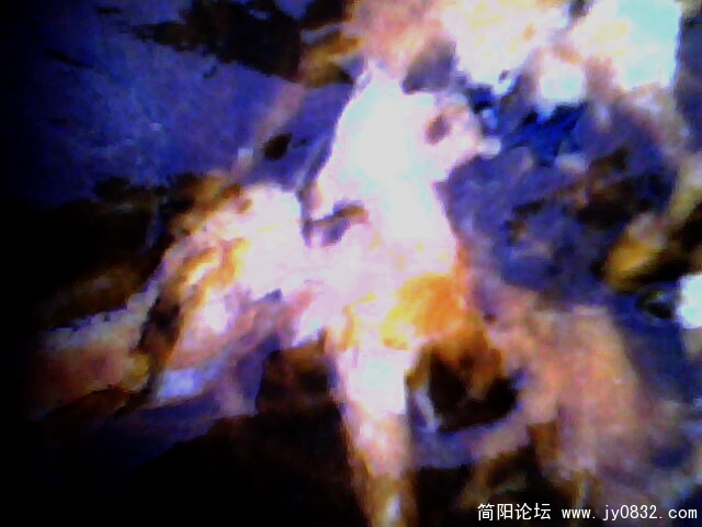 小绵羊.jpg