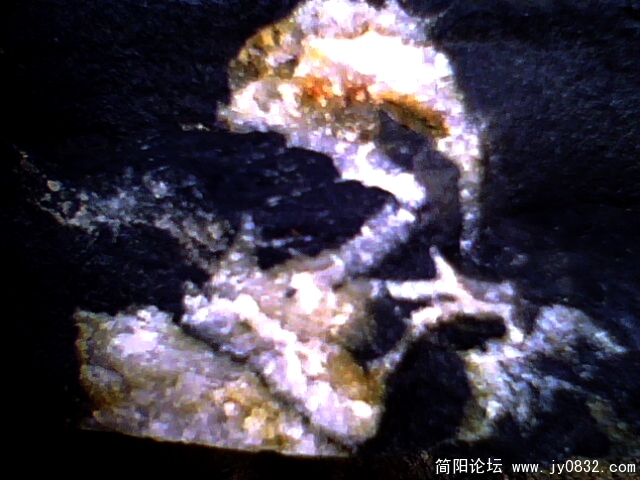 鱼跃而起1.jpg