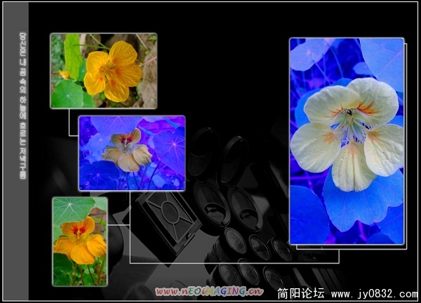 合成野花.jpg