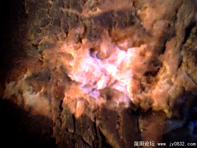 彩池3.jpg