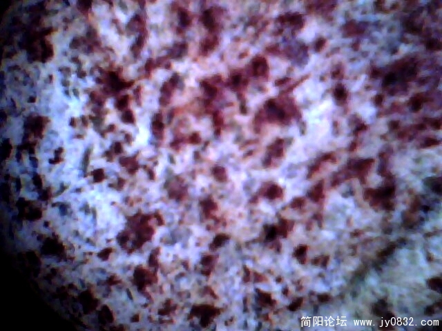 彩池5.jpg