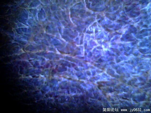 罗汉石纹6.jpg