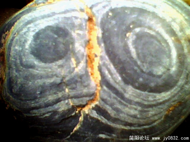 眼镜1.jpg