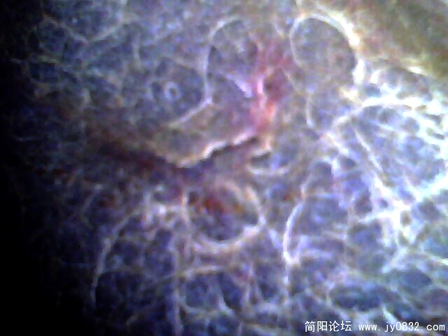 罗汉石纹5.jpg