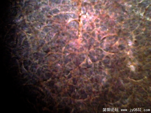 罗汉石纹1.jpg