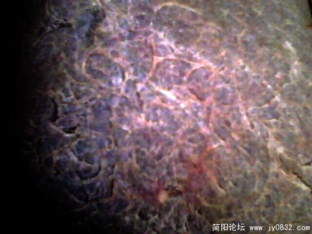 罗汉石纹2.jpg