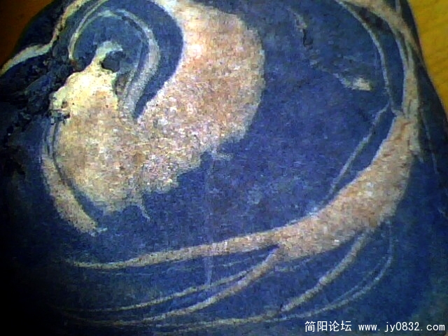 虾、螺2.jpg