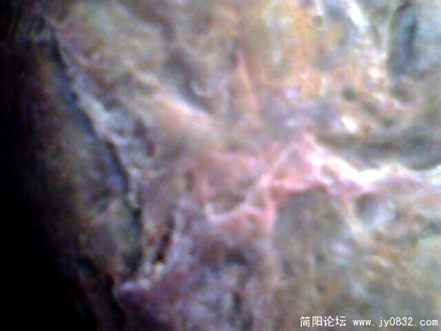 IMG0972A.jpg