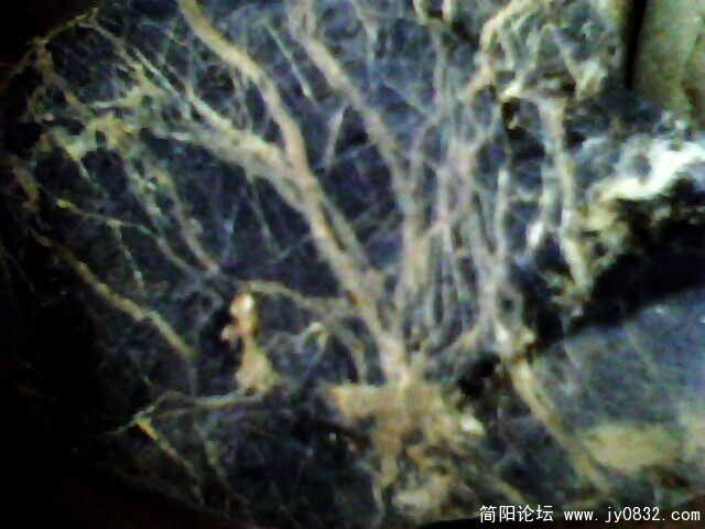 IMG0977A.jpg