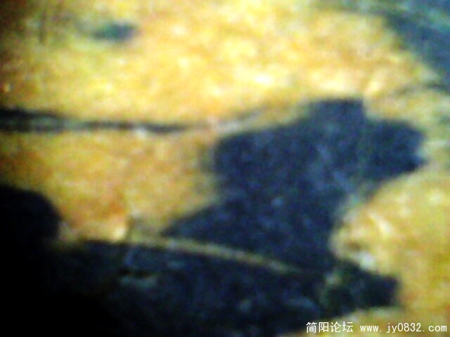 IMG0989A.jpg
