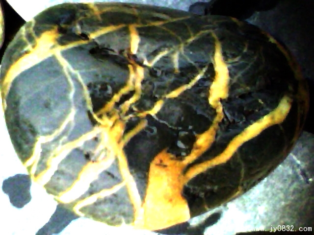 IMG0199A.jpg
