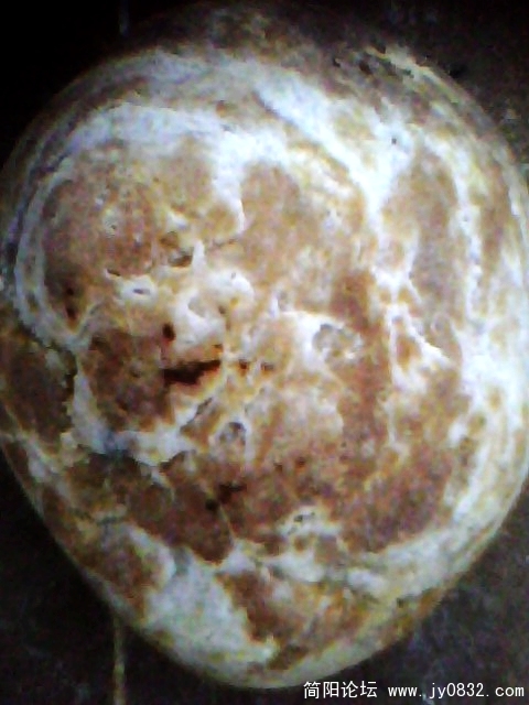 IMG0982A.jpg