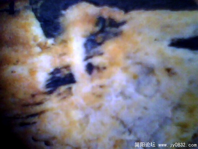 IMG0952A.jpg