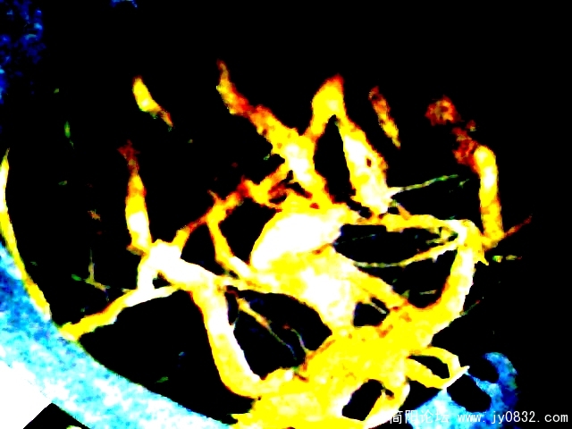 IMG0198A.jpg