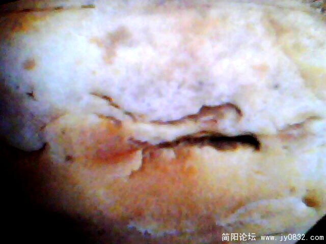 IMG0978A.jpg