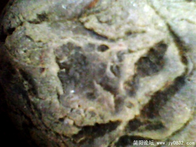 IMG0976A.jpg